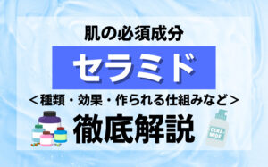 肌の必須成分であるセラミドとは？種類・効果・作られる仕組みなどを解説